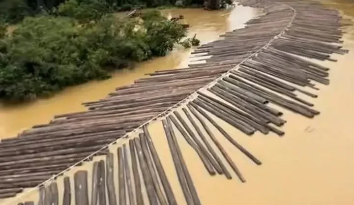 Cuplikan video viral yang menampilkan kayu gelondongan mengalir di sungai