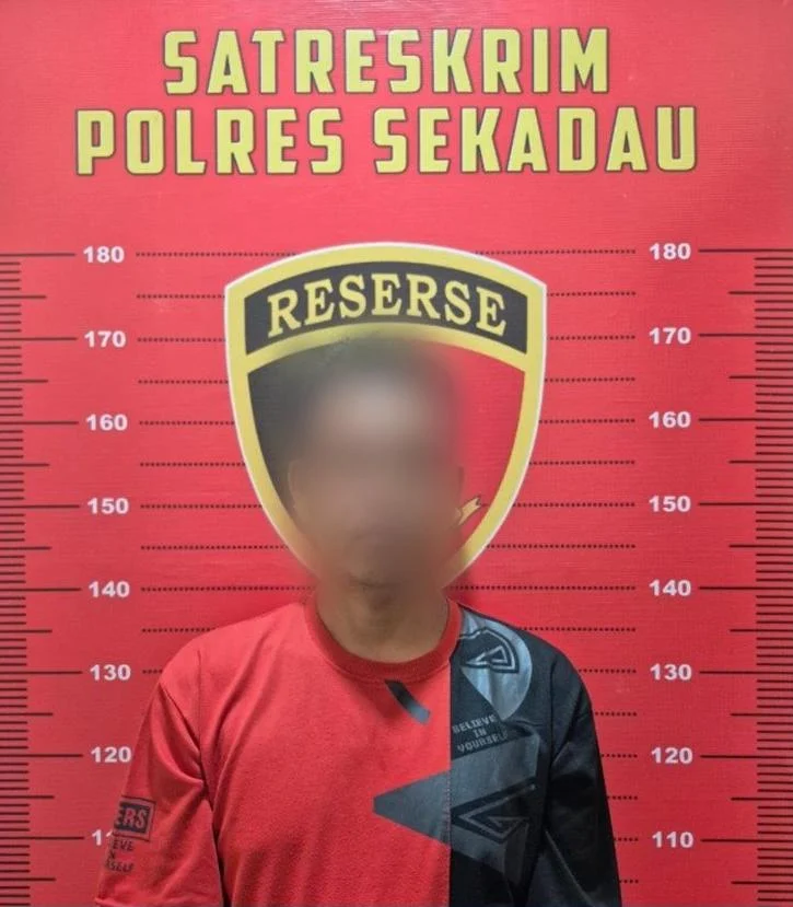 Pria di Sekadau diamankan polisi usai aniaya istri